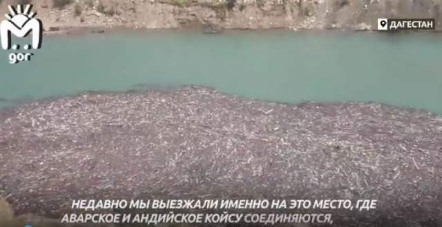<i>По Чиркейскому водохранилищу Дагестана потекли мусорные реки</i>