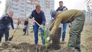 В урочище Мутнянка Ставрополя высадили 100 новых деревьев