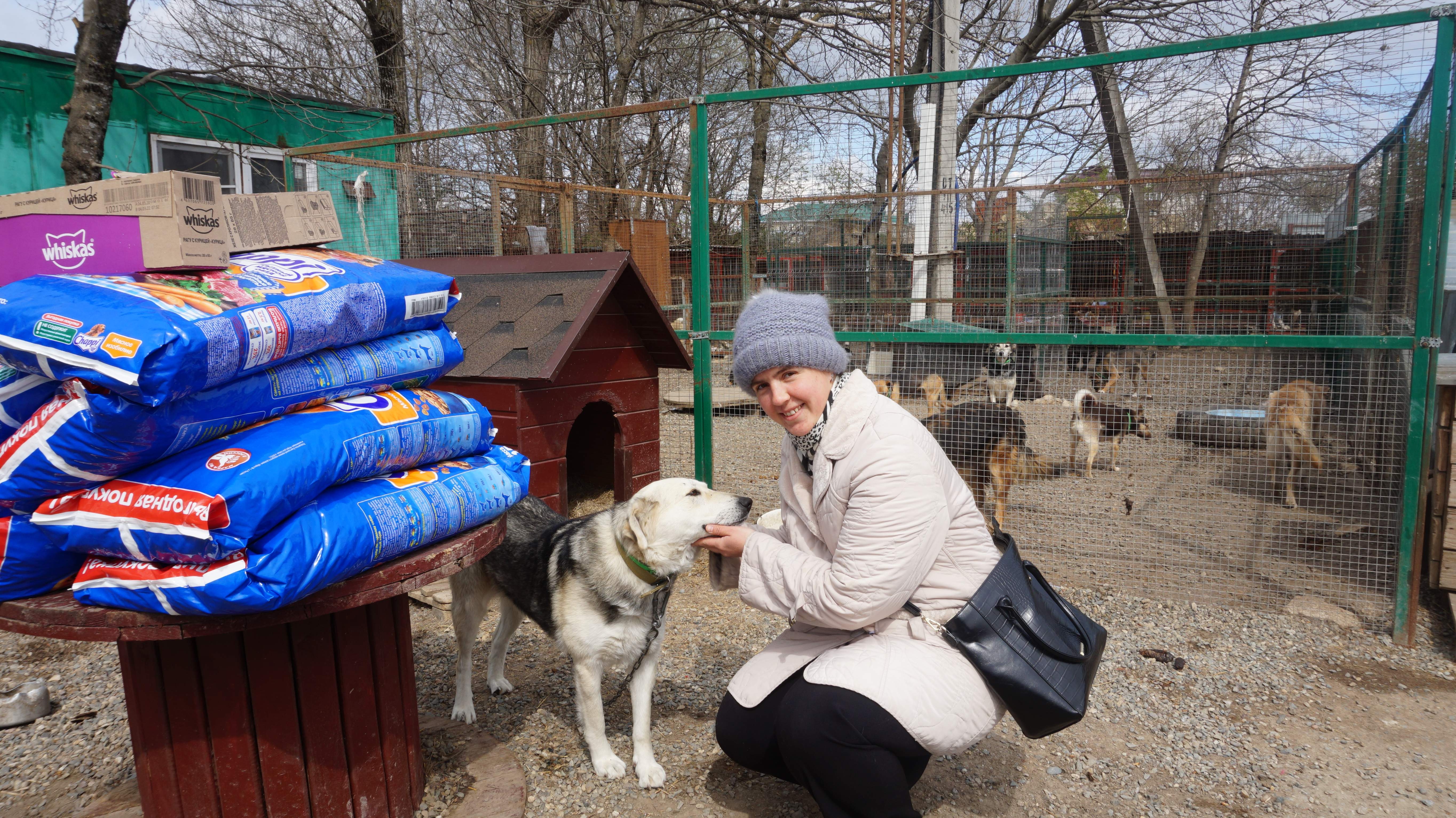 Ковчег приют для животных. Приют Ковчег Ставрополь. Приют для животных Ставрополь. Ковчег Ставрополь приют для животных. Приют для собак Ставрополь.