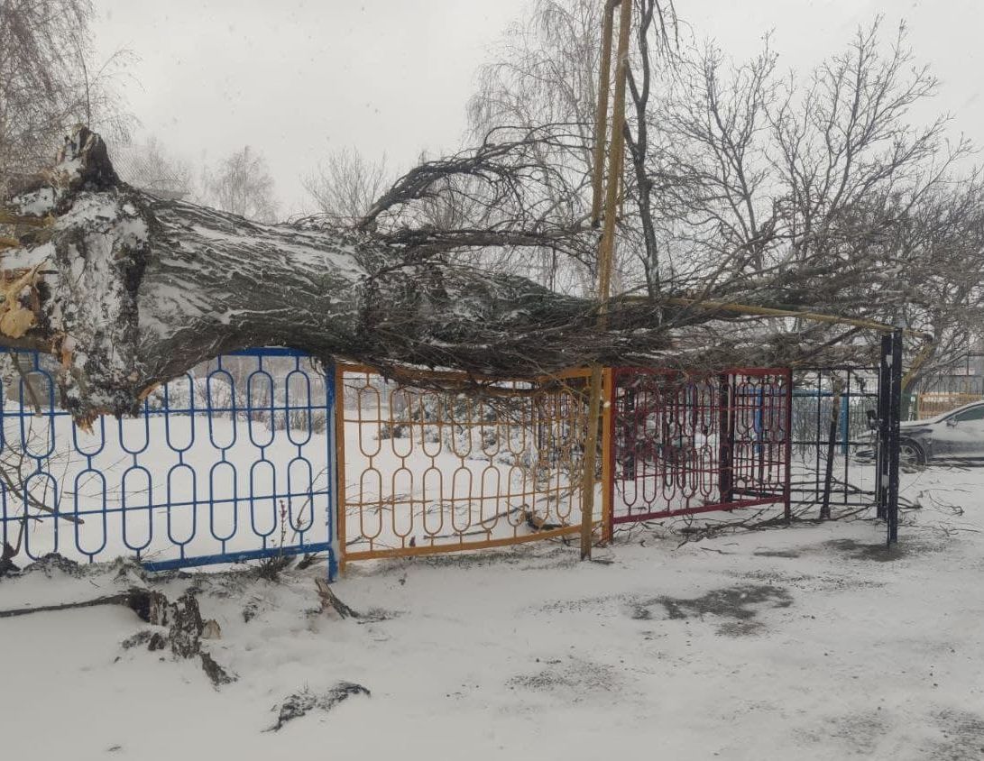 photo 2022 01 15 13 41 10 3