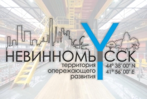Резиденты ТОСЭР «Невинномысск» реализовали продукции на 12 млрд рублей в 2021 году