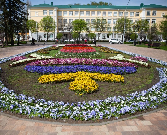 <i>Праздничное настроение жителям Ставрополя создали символы Победы из цветов</i>