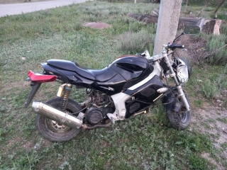 В Новоселицком округе юный мотоциклист-бесправник сбил барана и попал в реанимацию