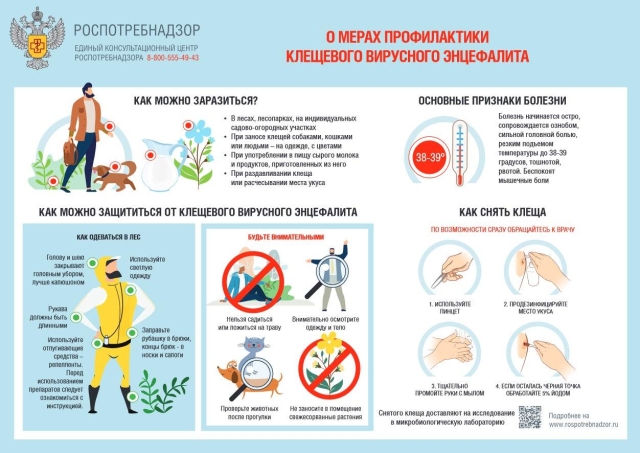 <i>На Ставрополье при 622 укушенных клещами выявили первый случай КГЛ</i>