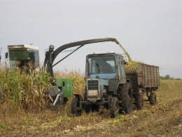 <i>В Дагестане идёт уборка кукурузы и подсолнечника</i>