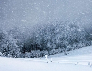 Спасатели и синоптики предупредили о сильном снегопаде в горах Кабардино-Балкарии