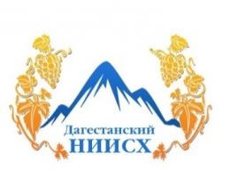 <i>Конференция проходит в Дагестане</i>